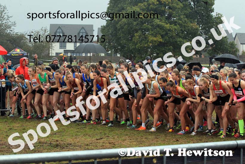 Senior Womens 2023 National Cross Country Relays, Berry Hill Park, Mansfield.  Photo: David T. Hewitson/Sports for All Pics